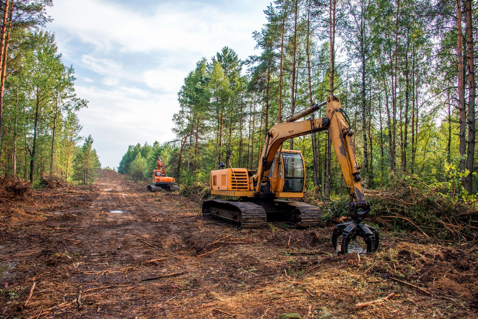 Land clearing project in Central Virginia