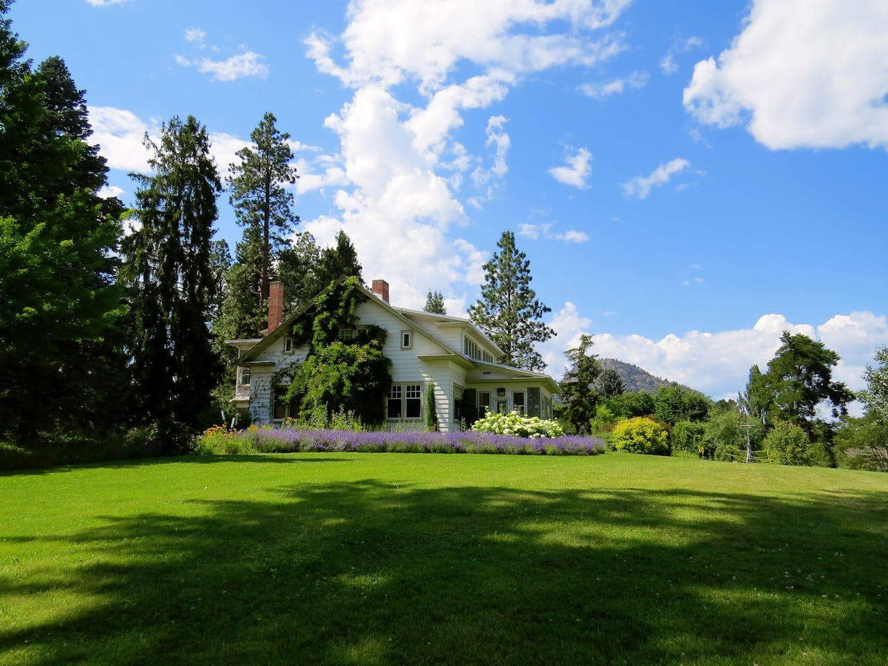 A healthy manicured lawn in front of a Central Virginia home under clear skies